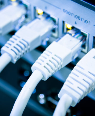 Network cables RJ45 connected to a switch